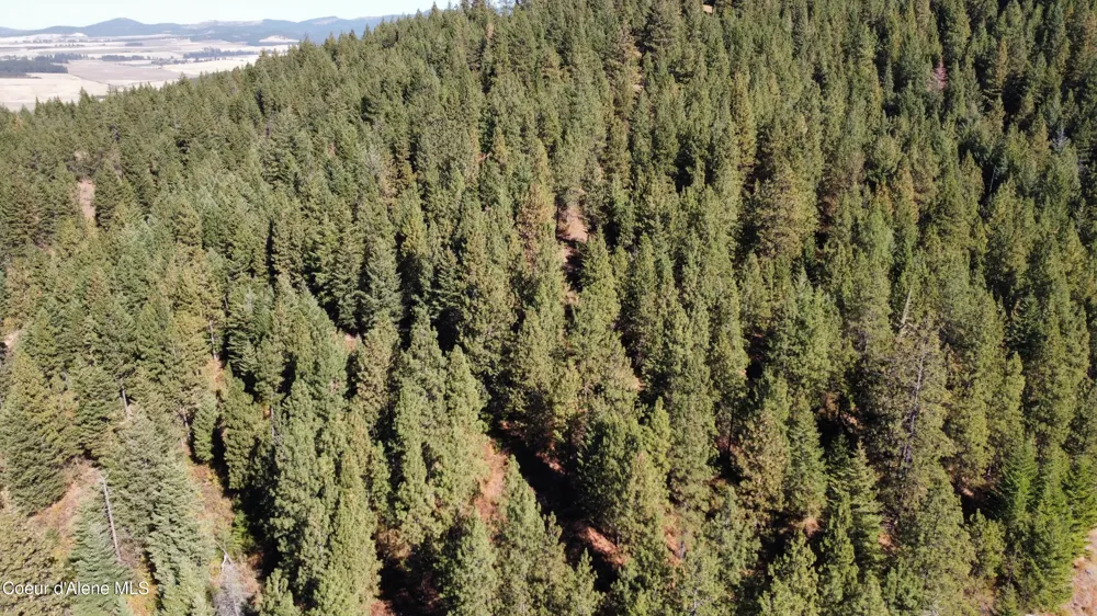 NKA Parcel 1 Dole Camp Road Tensed, ID 83870
