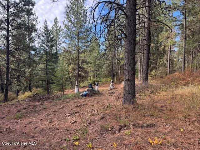 NKA 40 Acres Dole Camp Road Tensed, ID 83870