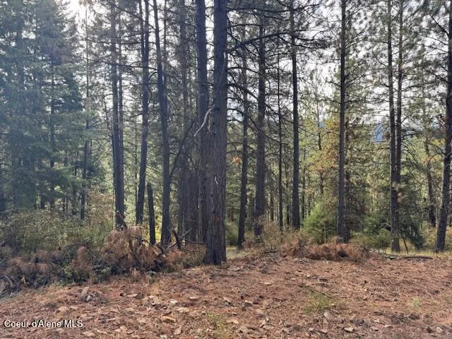 NKA 40 Acres Dole Camp Road Tensed, ID 83870