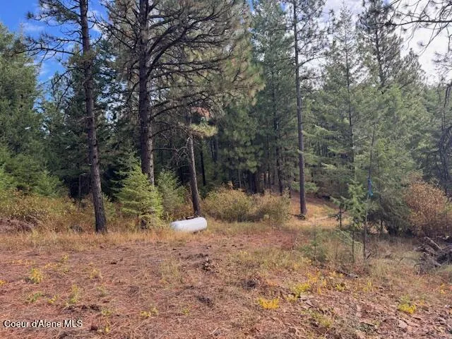 NKA 40 Acres Dole Camp Road Tensed, ID 83870