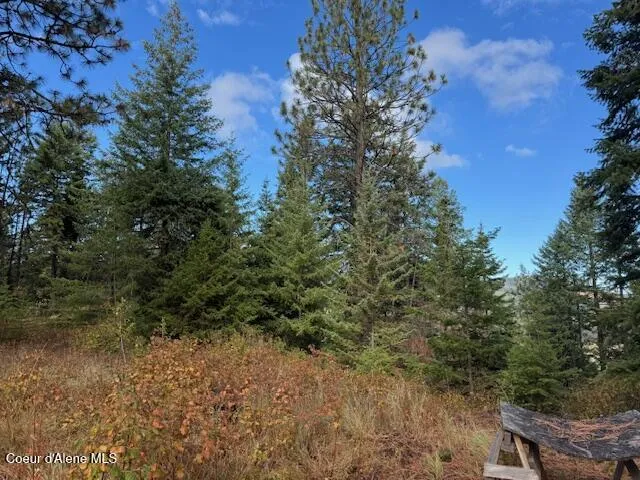 NKA 40 Acres Dole Camp Road Tensed, ID 83870