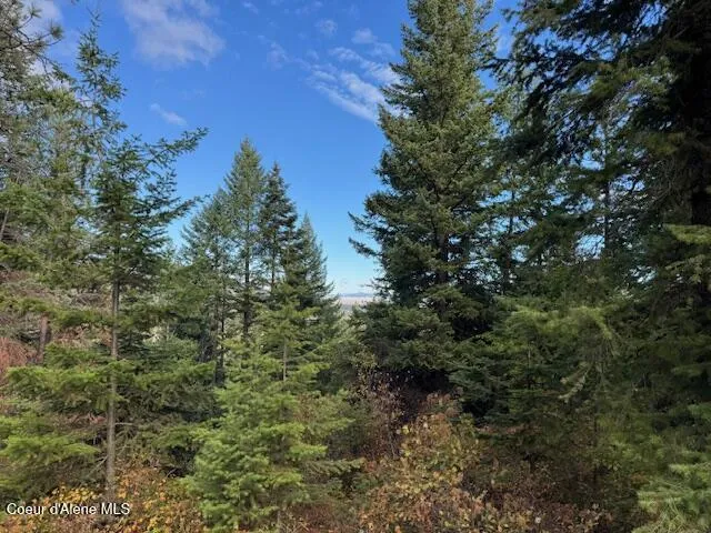 NKA 40 Acres Dole Camp Road Tensed, ID 83870