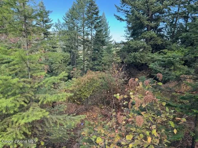 NKA 40 Acres Dole Camp Road Tensed, ID 83870
