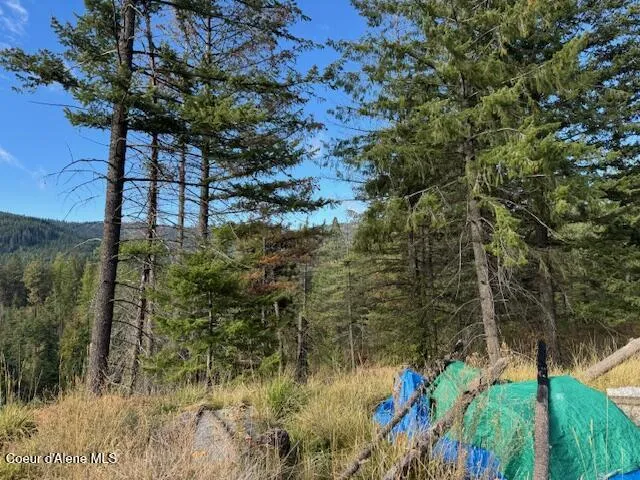 NKA 40 Acres Dole Camp Road Tensed, ID 83870