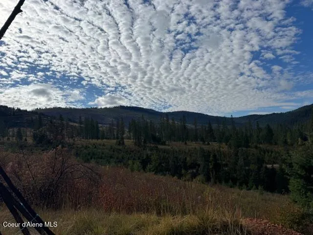 NKA 40 Acres Dole Camp Road Tensed, ID 83870