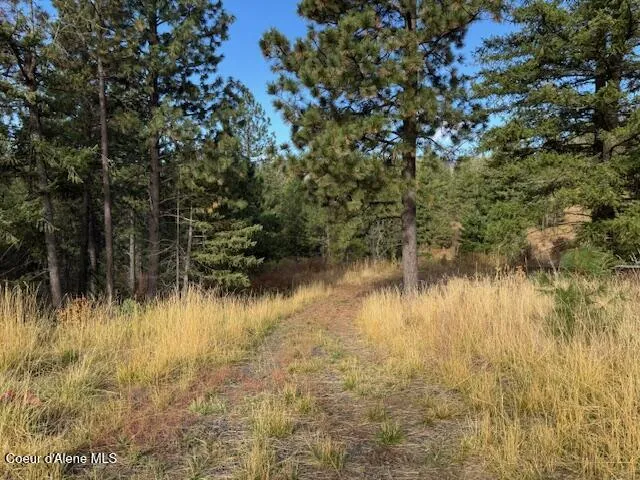 NKA 40 Acres Dole Camp Road Tensed, ID 83870