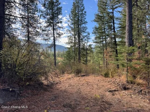 NKA 40 Acres Dole Camp Road Tensed, ID 83870