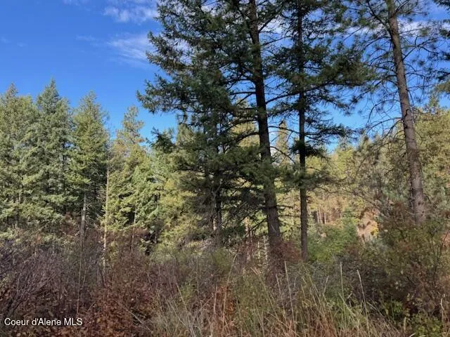 NKA 40 Acres Dole Camp Road Tensed, ID 83870