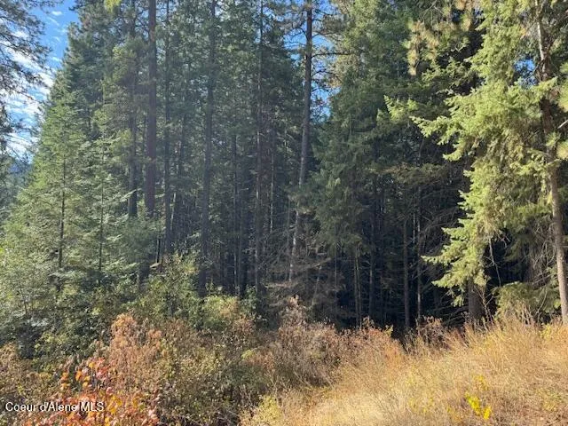 NKA 40 Acres Dole Camp Road Tensed, ID 83870