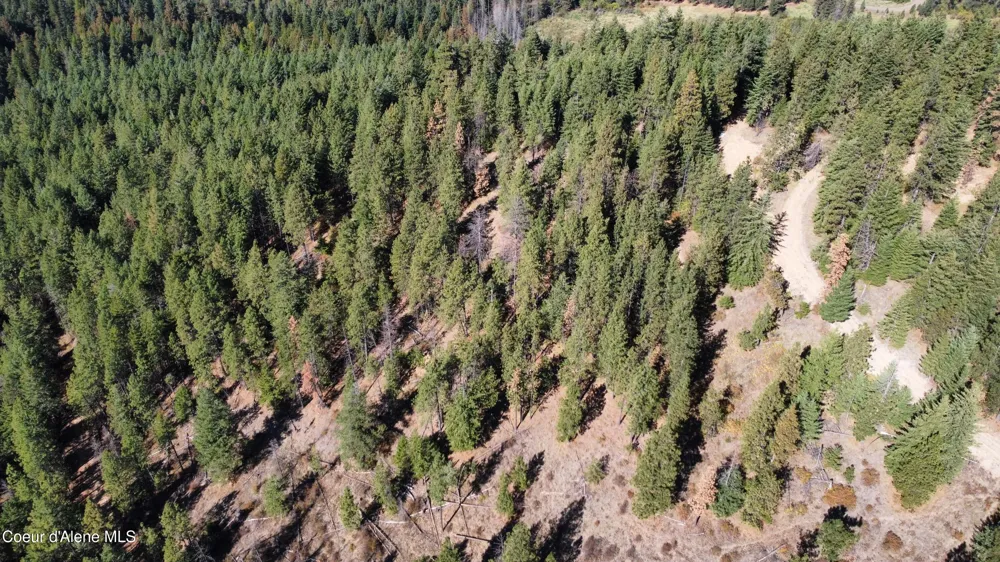 NKA 40 Acres Dole Camp Road Tensed, ID 83870
