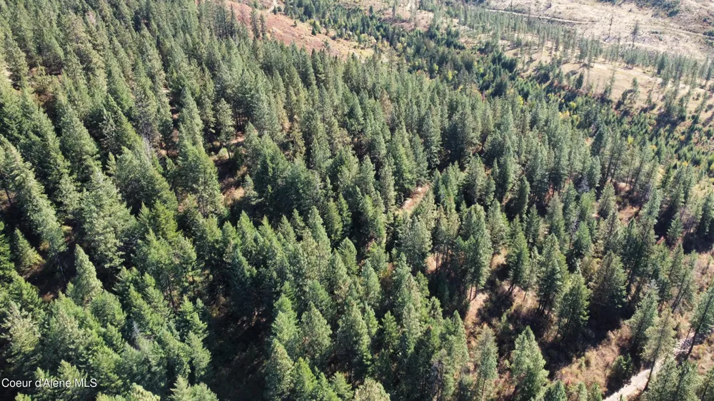 NKA 40 Acres Dole Camp Road Tensed, ID 83870