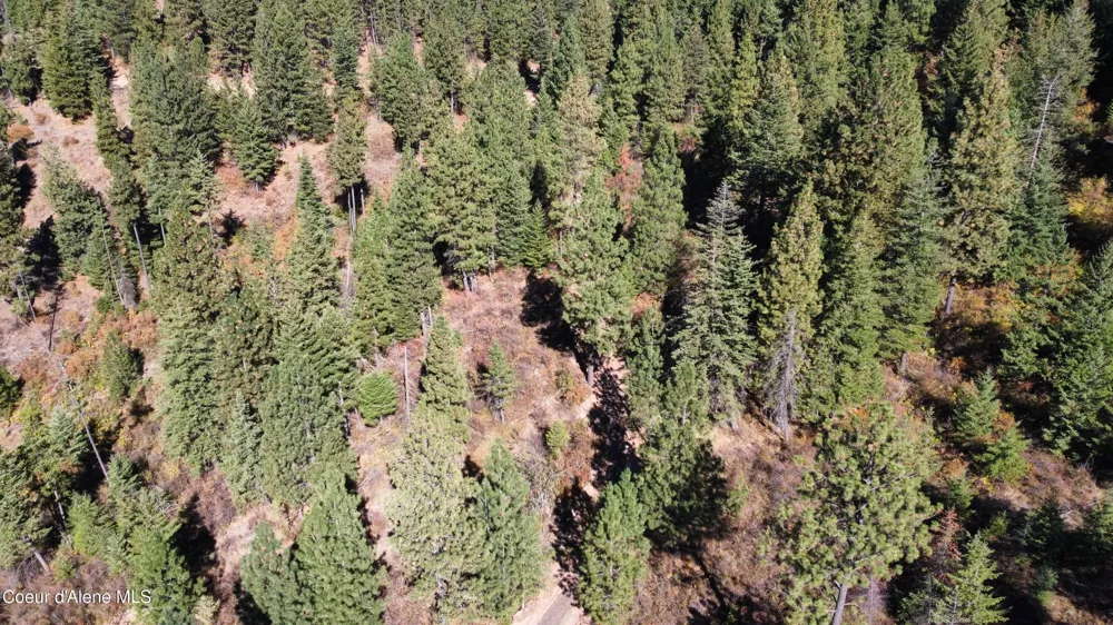 NKA 40 Acres Dole Camp Road Tensed, ID 83870