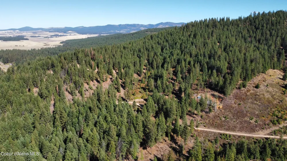 NKA 40 Acres Dole Camp Road Tensed, ID 83870