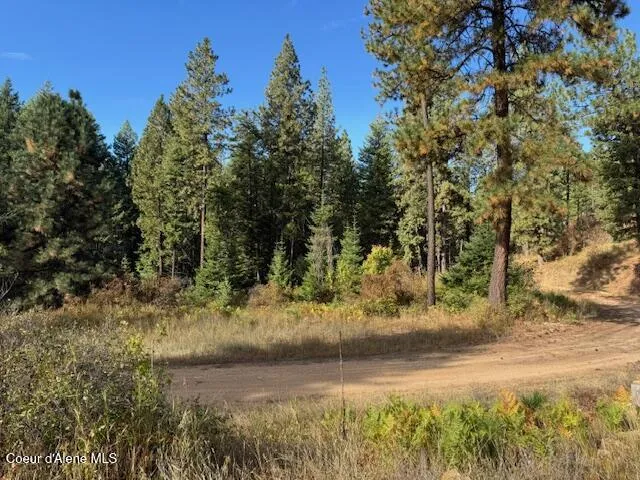 NKA Parcel 2 Dole Camp Road Tensed, ID 83870