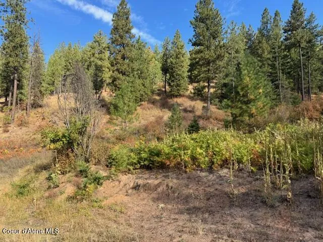 NKA Parcel 2 Dole Camp Road Tensed, ID 83870