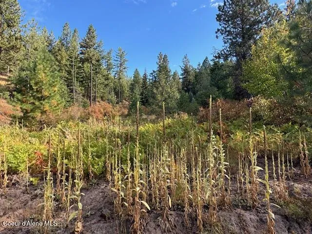 NKA Parcel 2 Dole Camp Road Tensed, ID 83870