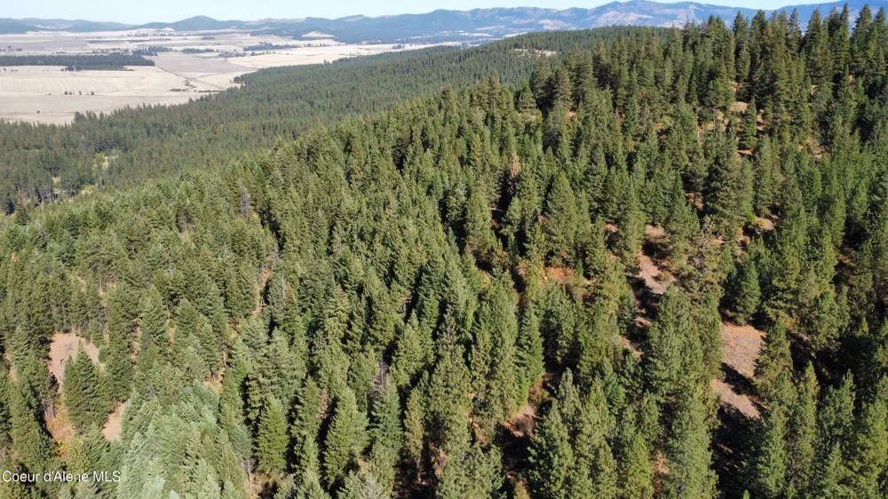 NKA Parcel 2 Dole Camp Road Tensed, ID 83870