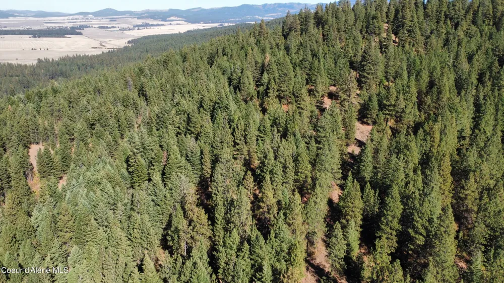 NKA Parcel 2 Dole Camp Road Tensed, ID 83870