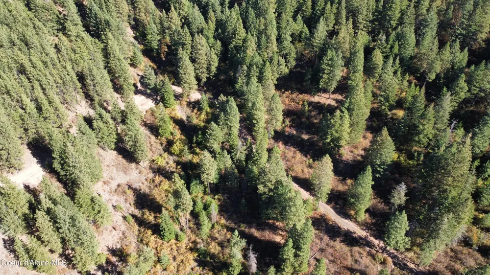 NKA Parcel 2 Dole Camp Road Tensed, ID 83870