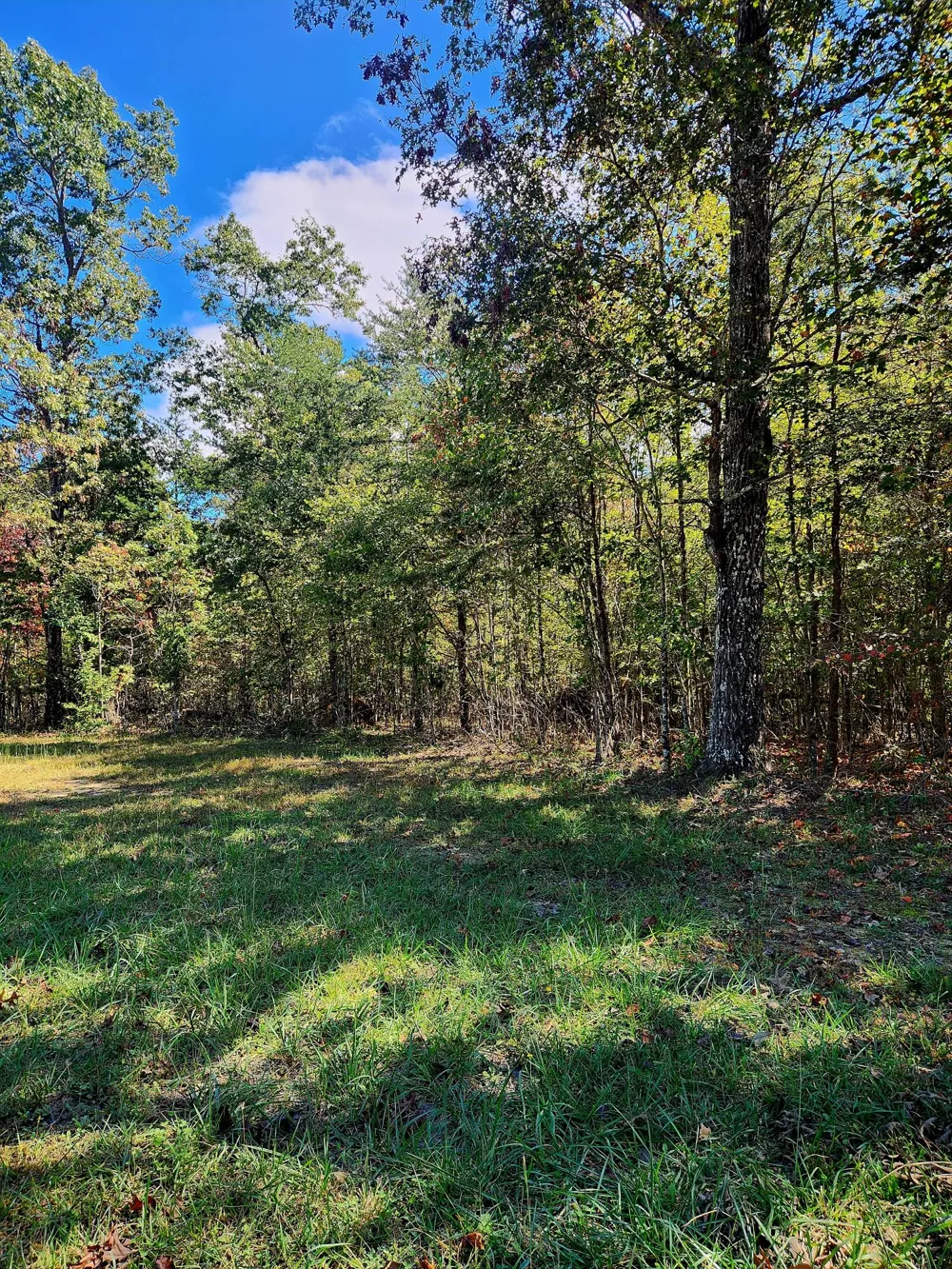 Long Branch Road Spencer, TN 38585