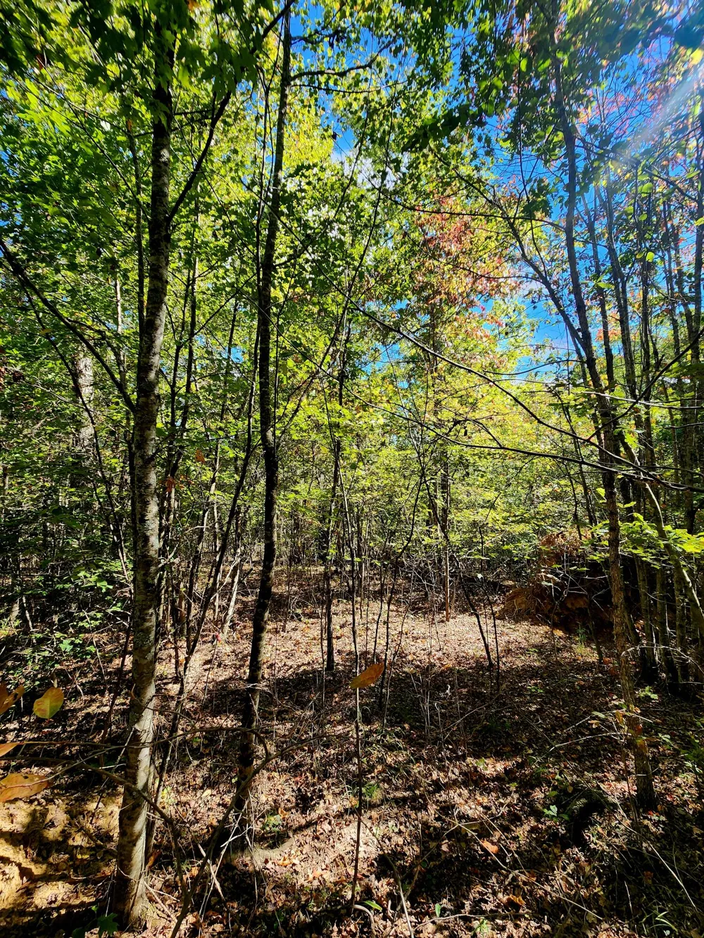 Long Branch Road Spencer, TN 38585