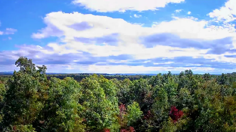 Long Branch Road Spencer, TN 38585