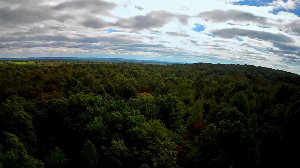 Long Branch Road Spencer, TN 38585