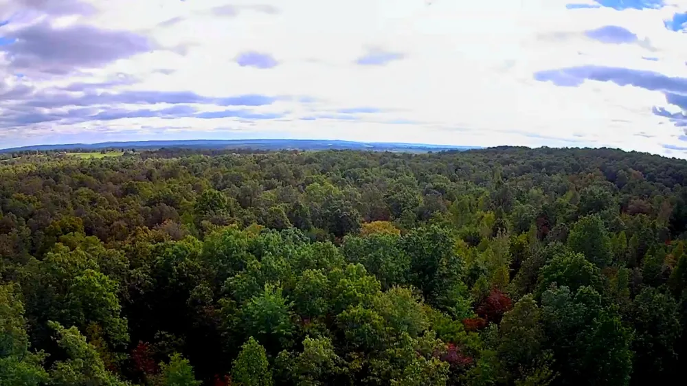 Long Branch Road Spencer, TN 38585