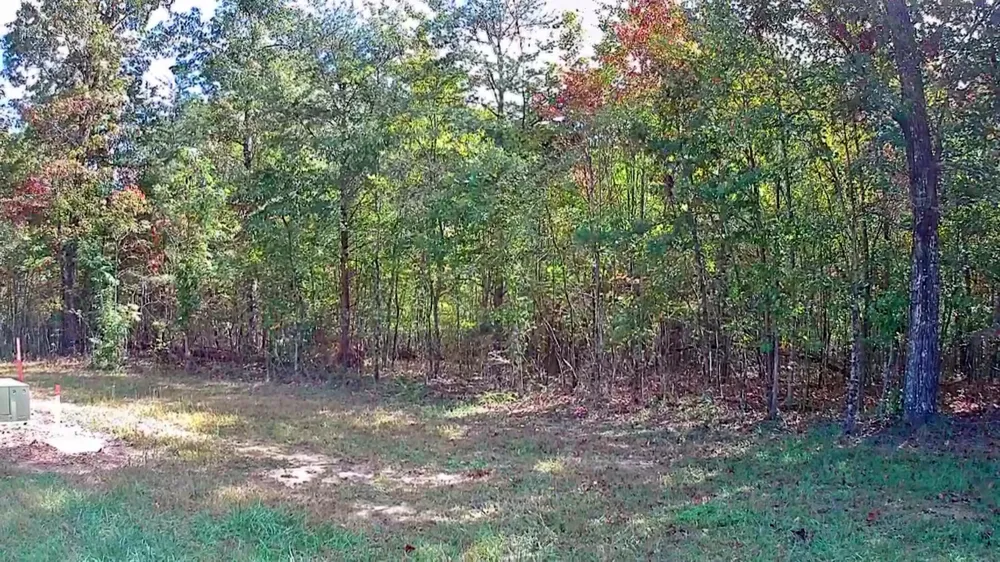 Long Branch Road Spencer, TN 38585