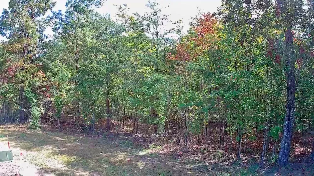 Long Branch Road Spencer, TN 38585