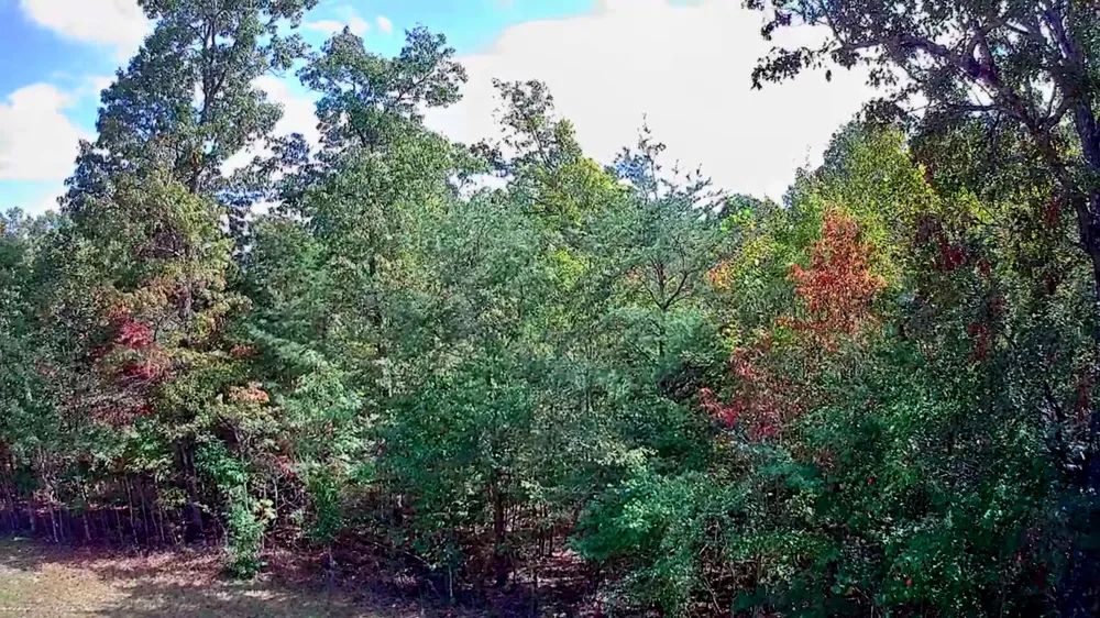 Long Branch Road Spencer, TN 38585