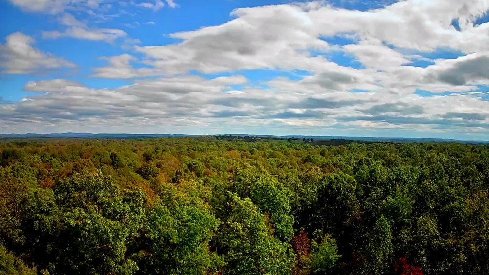 Long Branch Road Spencer, TN 38585