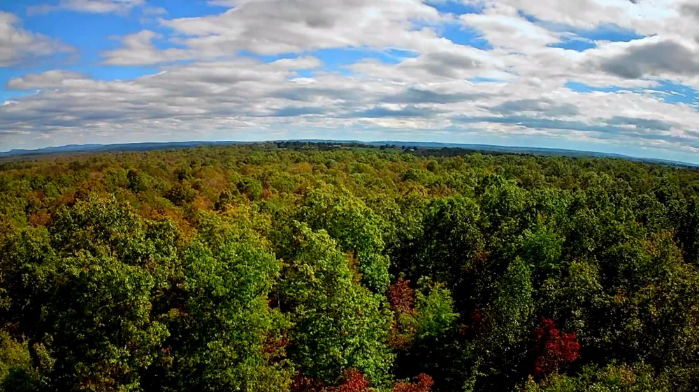 Long Branch Road Spencer, TN 38585