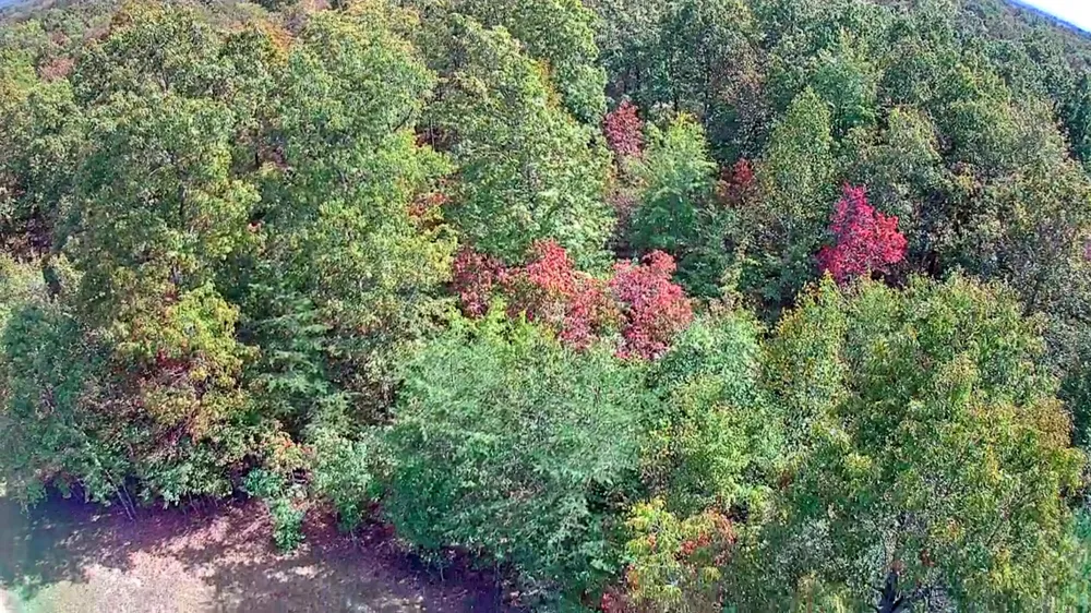 Long Branch Road Spencer, TN 38585