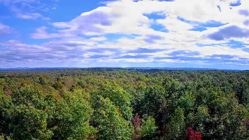 Long Branch Road Spencer, TN 38585