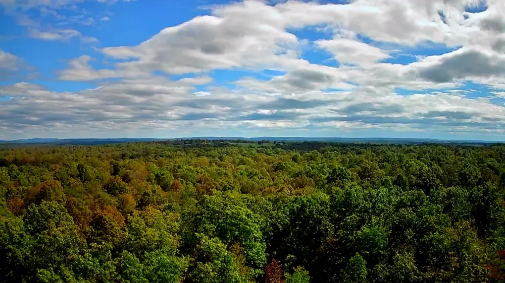 Long Branch Road Spencer, TN 38585