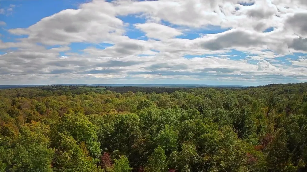 Long Branch Road Spencer, TN 38585