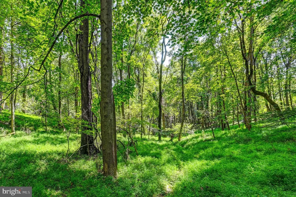 14498 WESTERN ROAD Sparks Glencoe, MD 21152