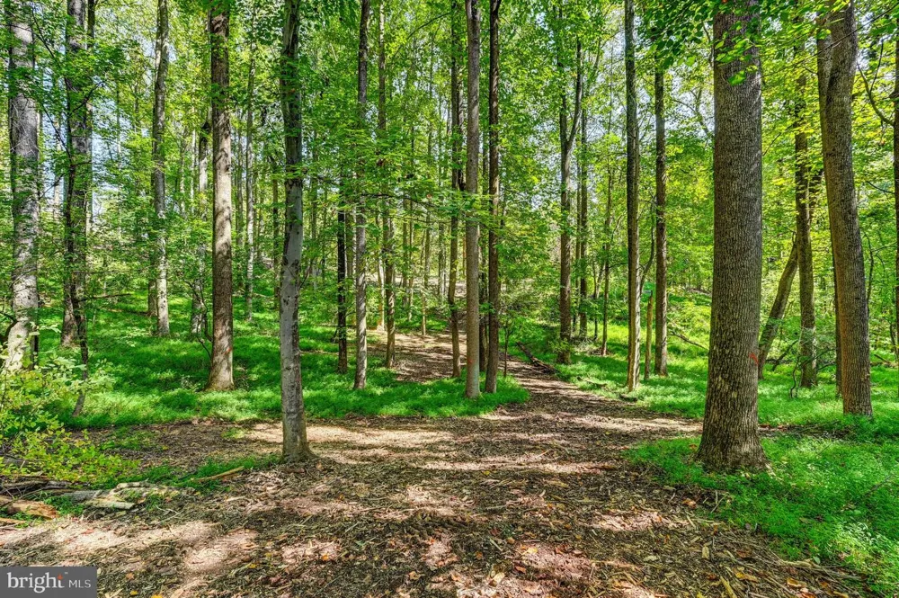 14498 WESTERN ROAD Sparks Glencoe, MD 21152