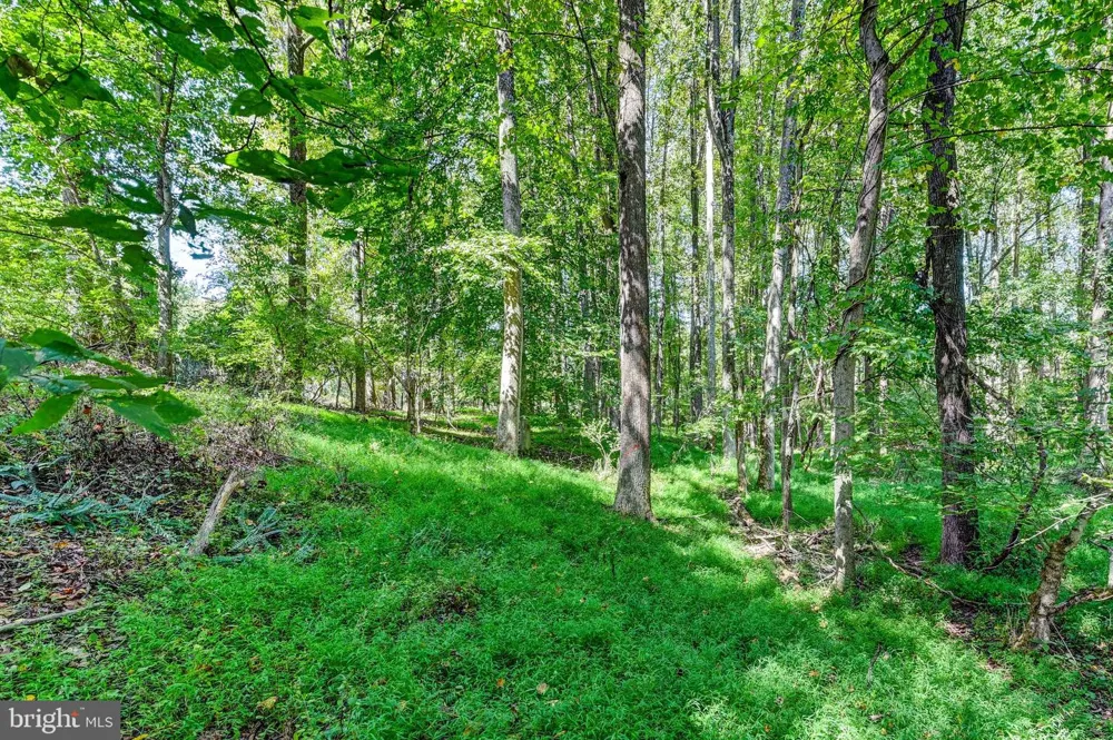 14498 WESTERN ROAD Sparks Glencoe, MD 21152