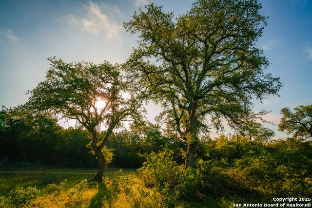 000 Rolling hill Spring Branch, TX 78070