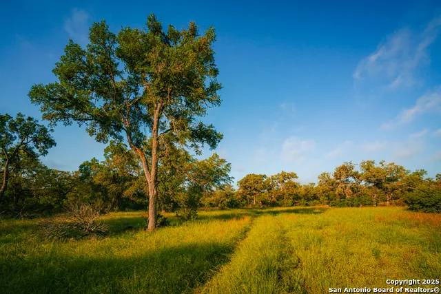 000 Rolling hill Spring Branch, TX 78070