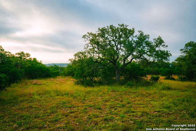 000 Rolling hill Spring Branch, TX 78070