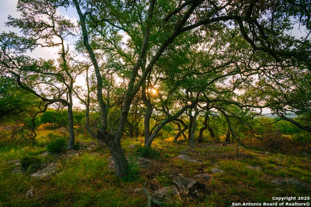 000 Rolling hill Spring Branch, TX 78070