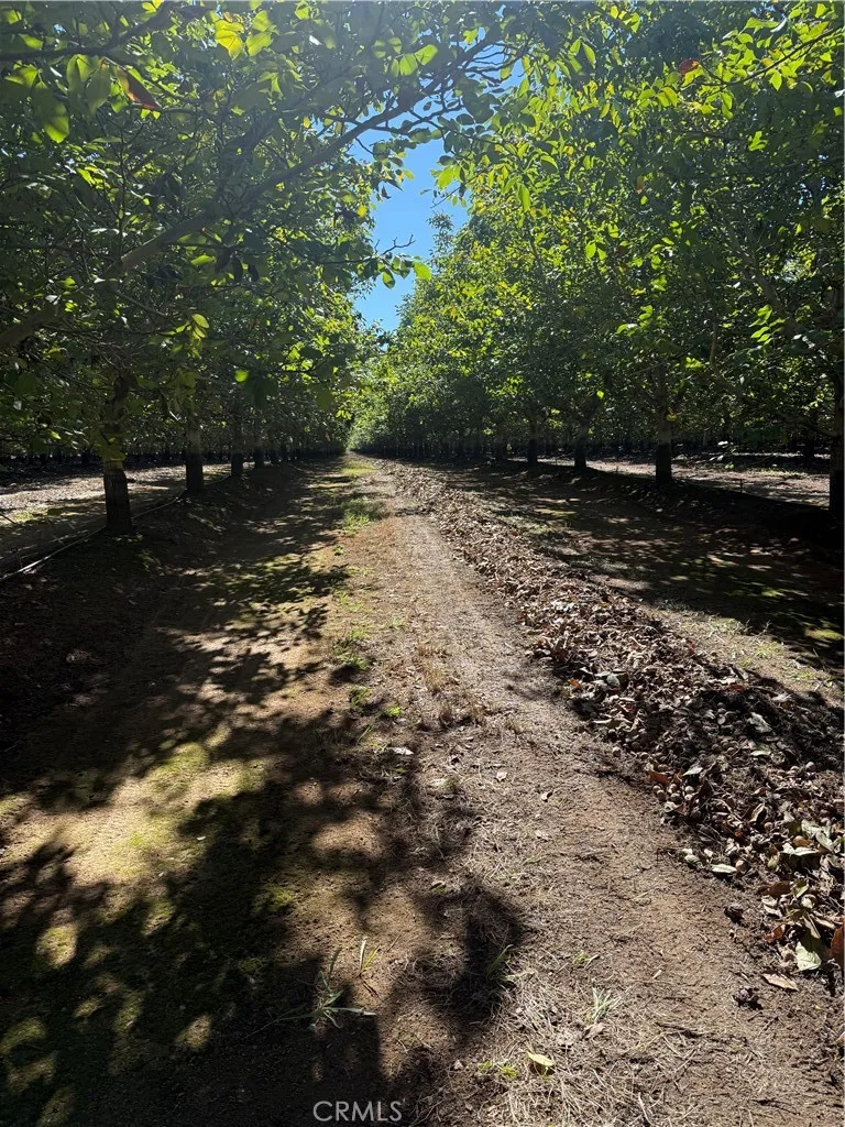 Rawson Road Gerber, CA 96035
