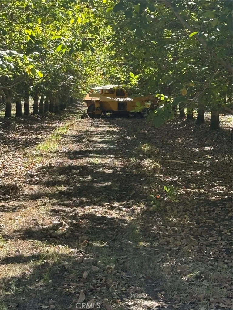 Rawson Road Gerber, CA 96035