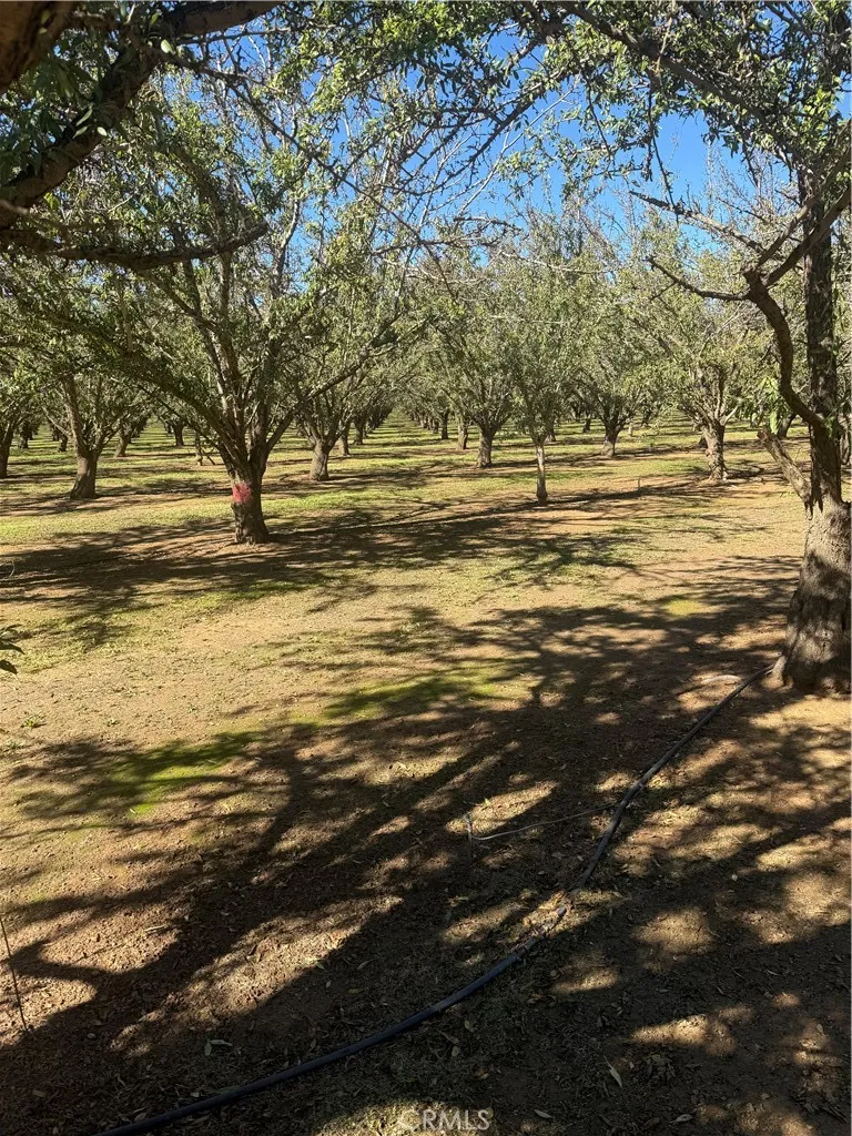Rawson Road Gerber, CA 96035