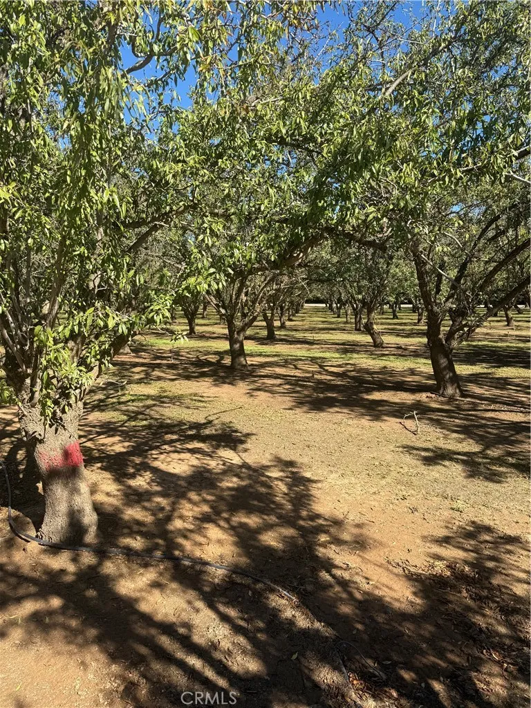 Rawson Road Gerber, CA 96035