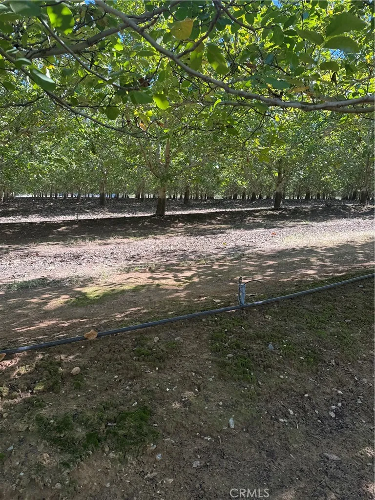 Rawson Road Gerber, CA 96035