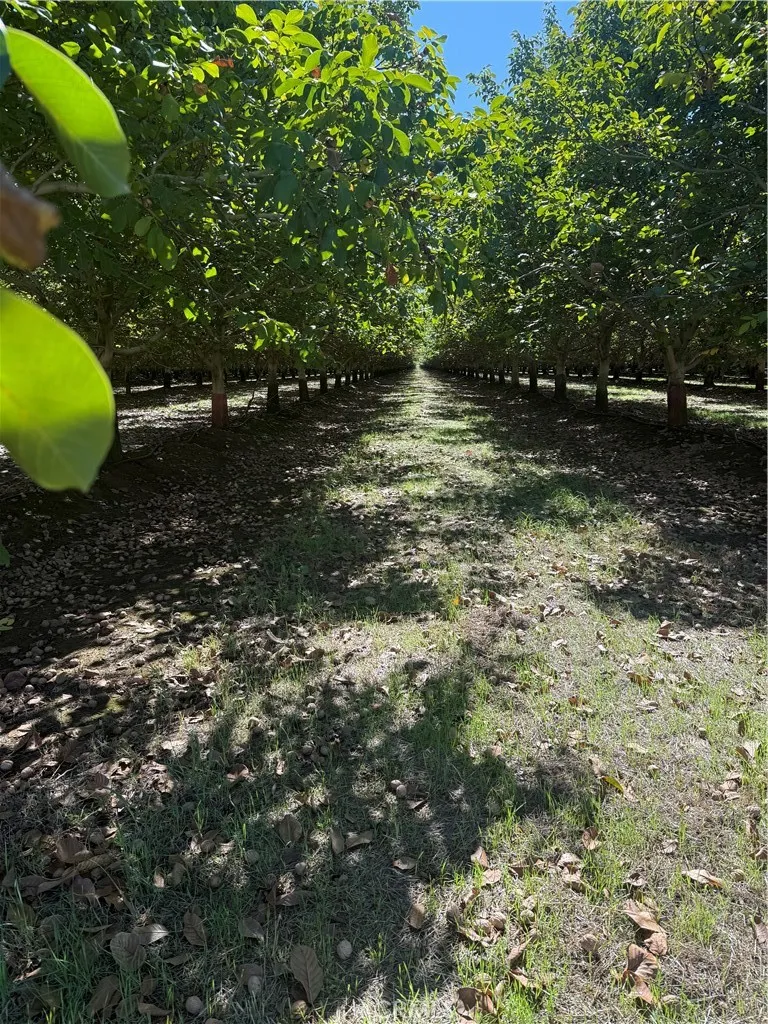 Rawson Road Gerber, CA 96035